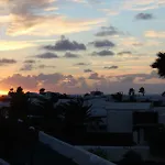 Frida Faro Park *